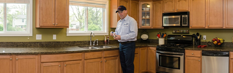 Catons-kitchen-faucet-2-800x250.jpg